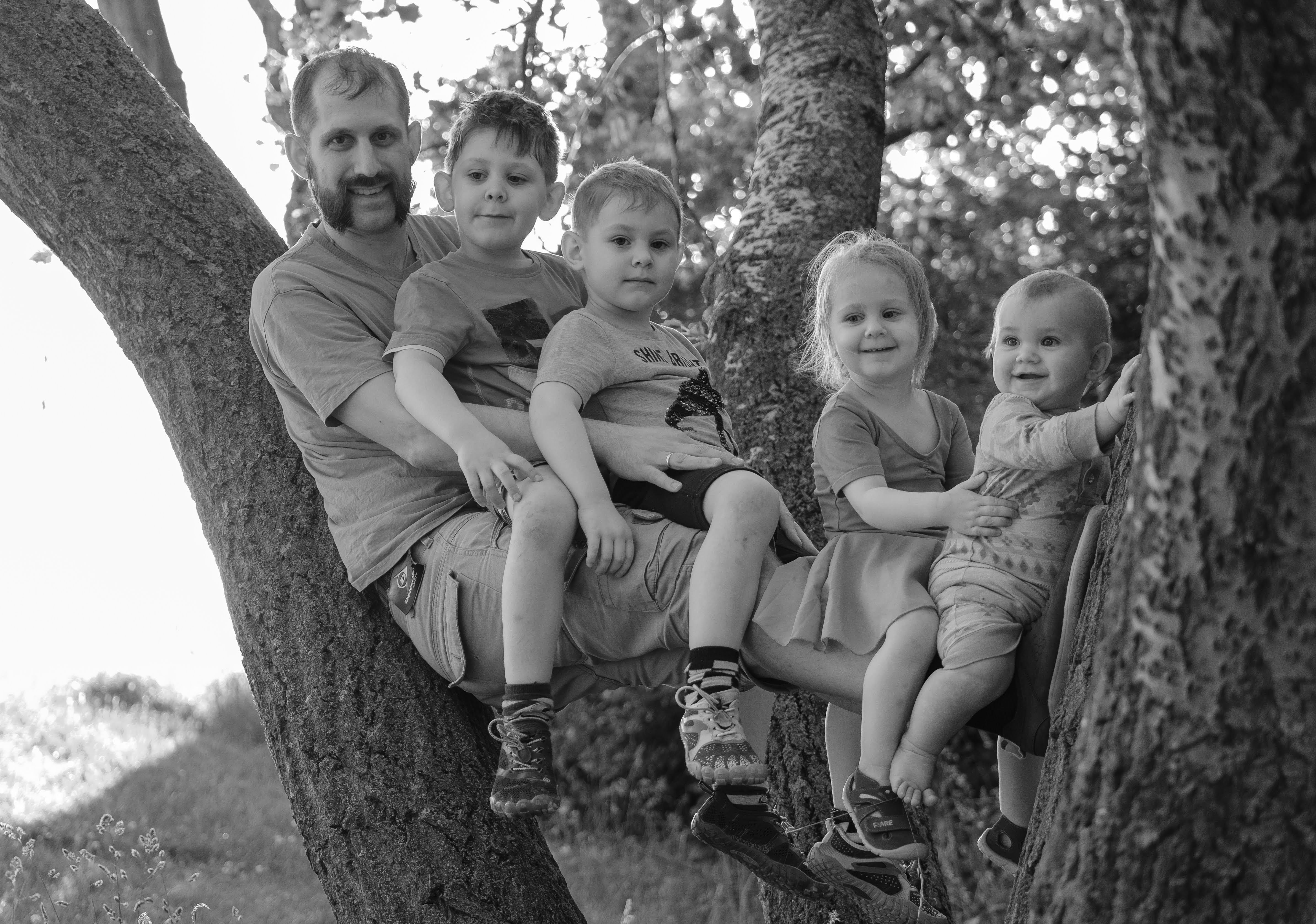 Progressive enhancement with SvelteKit